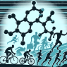 Testosterone undecanoate as a supplement for physical endurance