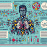 Endocrine disruption from turinabol iniettabile